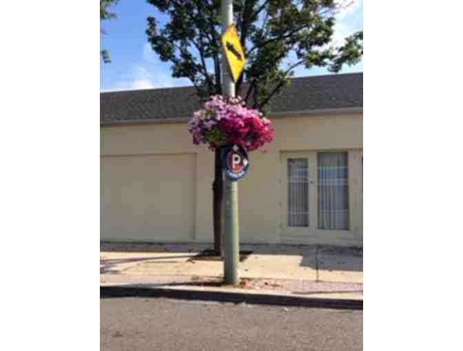 Two Wrap-Around Self Watering Municipal Hanging Baskets from Eckert's