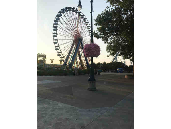 Two Wrap-Around Self Watering Municipal Hanging Baskets from Eckert's