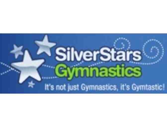 Silver Stars Gymnastics Birthday Party