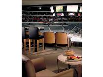 A Suite Time - Mavs or Stars Luxury Suite and Parking