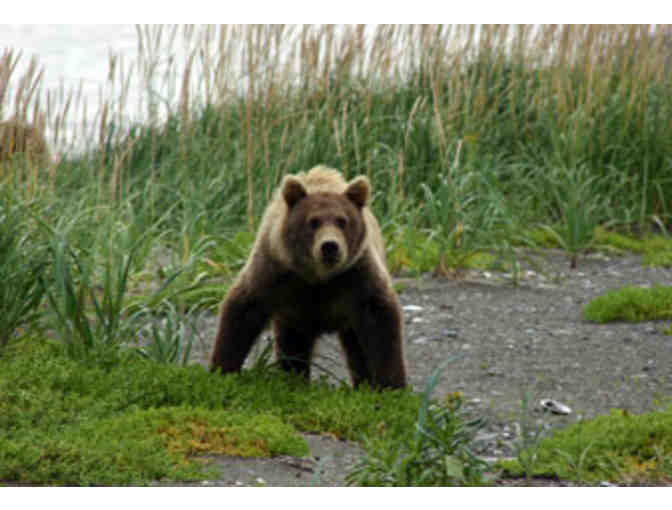 3 Day Alaska Bear Camp Adventure for 2 - Photo 1