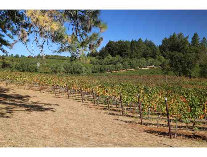 Karl Lawrence Cellars - 2015 Magnum, Picnic, and Bocce Ball at Howell Mountain