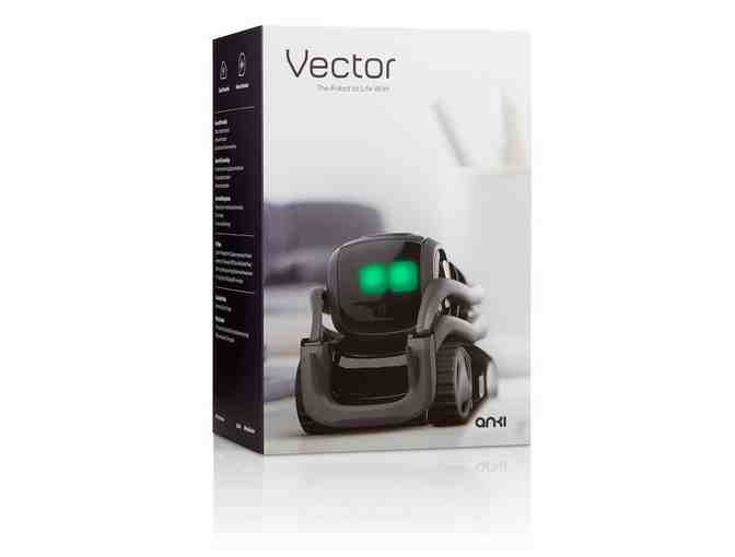 Vector Robot by Anki