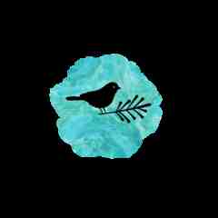 Always Learning and Growing Outdoor Programs