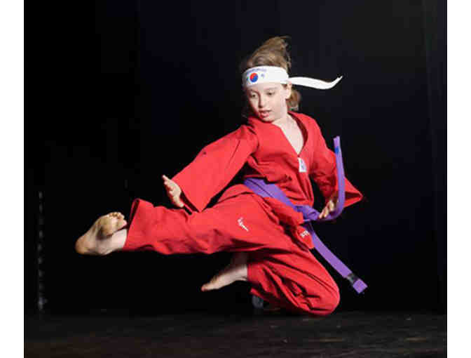 1 Month of Taekwondo and 1 Birthday Party at Flying V Martial Arts #3