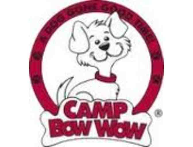 Camp Bow Wow 2 Nights Boarding with Bath & Nail Trim