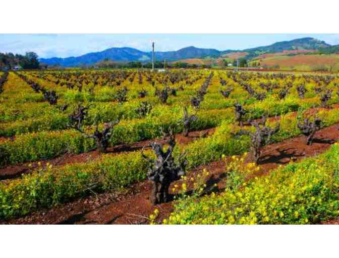 Sonoma and Napa Valley Wine Sampler