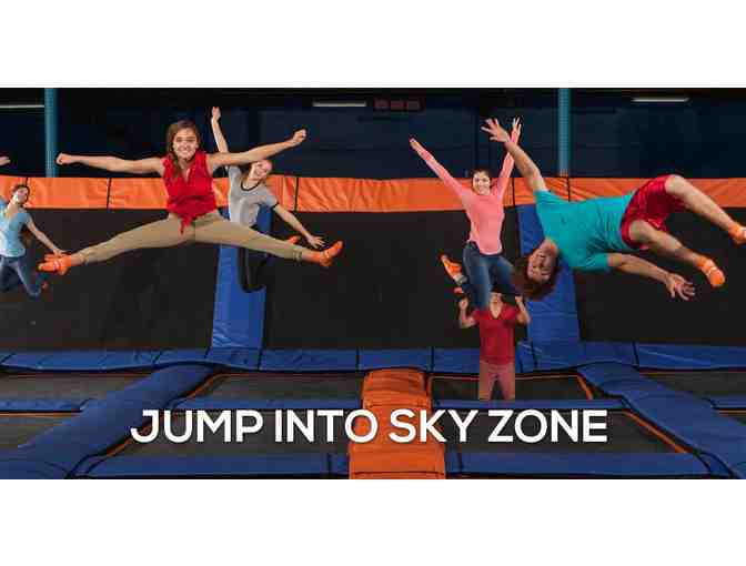 Four One-Hour Jumptime Passes for Sky Zone Elmhurst
