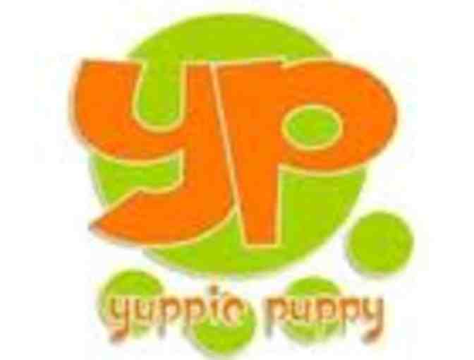 $60 Gift Certificate from Yuppie Puppy