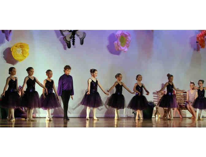 $100 Gift Certificate for Principle Dance in Forest Park
