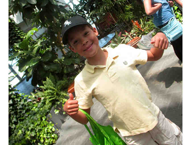 1 Half-Day Session of Primary Summer Camp at Alcuin Montessori