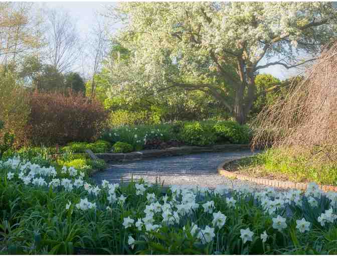 A Day at the Chicago Botanic Garden