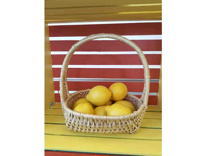 Classroom Project: Mr. Mike's Lemonade Stand