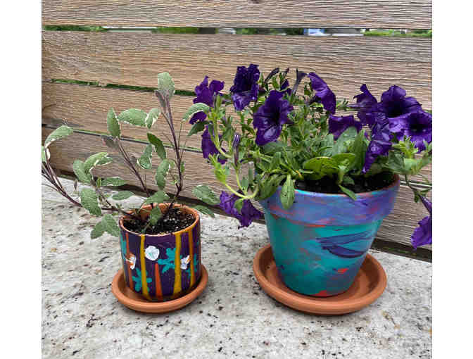 Classroom Project: Primary Planters - Small Size - Photo 1