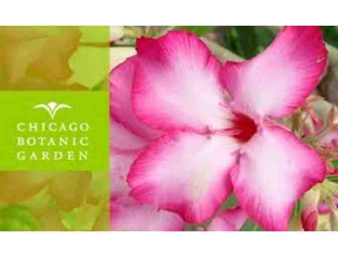 A Day at the Chicago Botanic Garden for Four