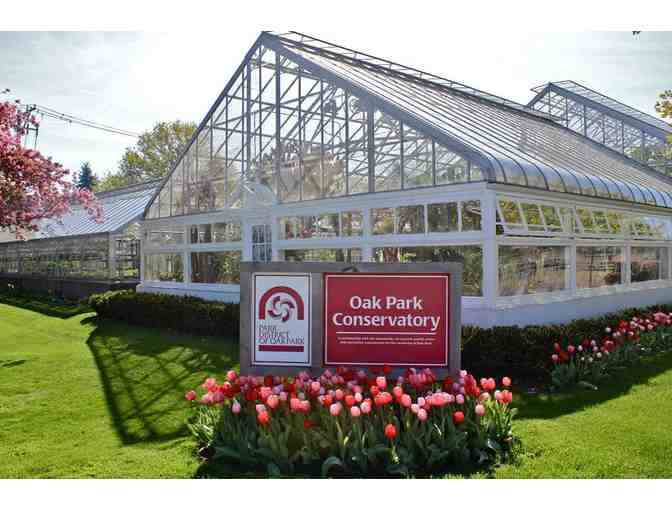 Fun with Teachers: Oak Park Conservatory with Ms. Amy and Ms. Lydia