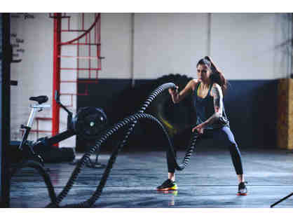 One Hour Battle Ropes and Body Weight Class in Your Home
