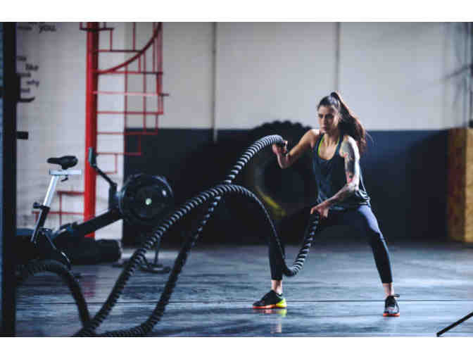One Hour Battle Ropes and Body Weight Class in Your Home - Photo 1