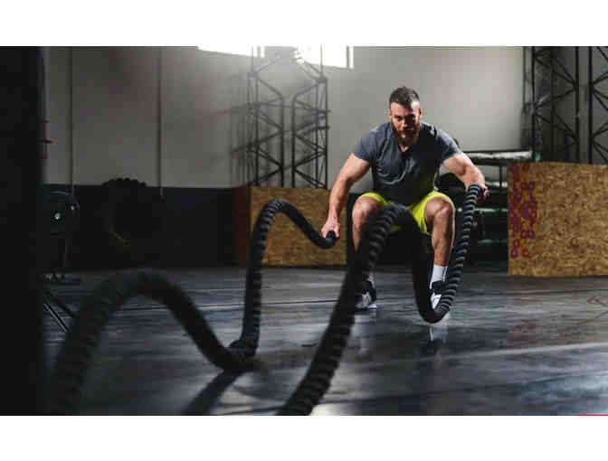 One Hour Battle Ropes and Body Weight Class in Your Home - Photo 2