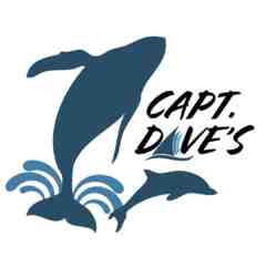 Captain Dave's Dolphin & Whale Safari