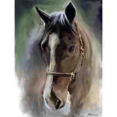 Anastasia Burke-Miller