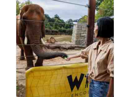 Elephant Wild Encounter at Zoo Atlanta