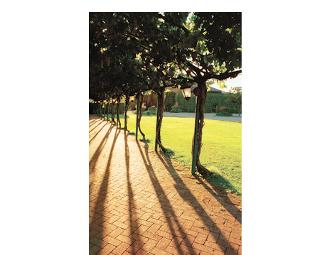 Concannon Private Tour & Tasting for Four (4) + Logo Glass