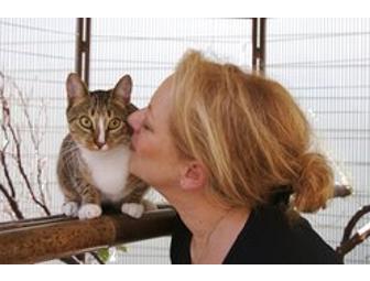 'Smiling Dog/Grinning Cat' Pet Photography Session