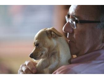 'Smiling Dog/Grinning Cat' Pet Photography Session