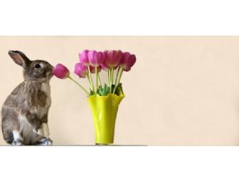 'Smiling Dog/Grinning Cat' Pet Photography Session