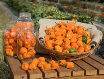 Chutney Gift Basket by McQuade's Celtic Chutneys