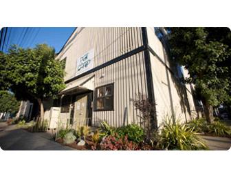 Dog SpaCamp Weekend & Gift Basket