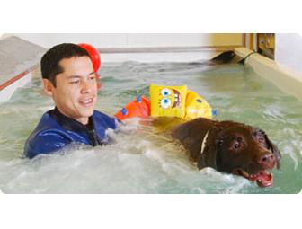 Dog SpaCamp Weekend & Gift Basket