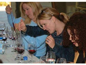 Magnum of Ravenswood 2004 Pickberry