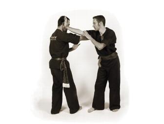 One (1) Month Unlimited Martial Arts Training + Free T-Shirt