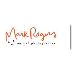 Mark Rogers Photography