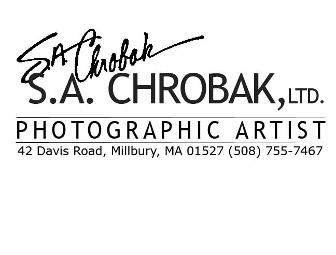 2 Designer Family Portrait Sessions from S.A. Chrobak, Ltd. Photographic Artist