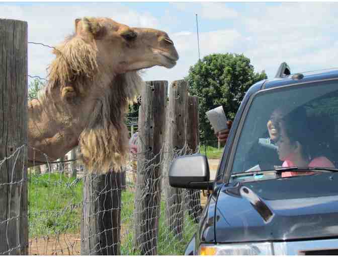 African Safari Wildlife Park VIP Pass