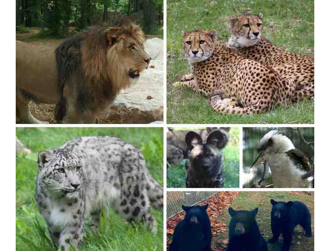 Binder Park Zoo Family Four Pack