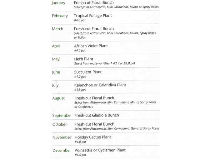 A Year of Plants and Flowers!