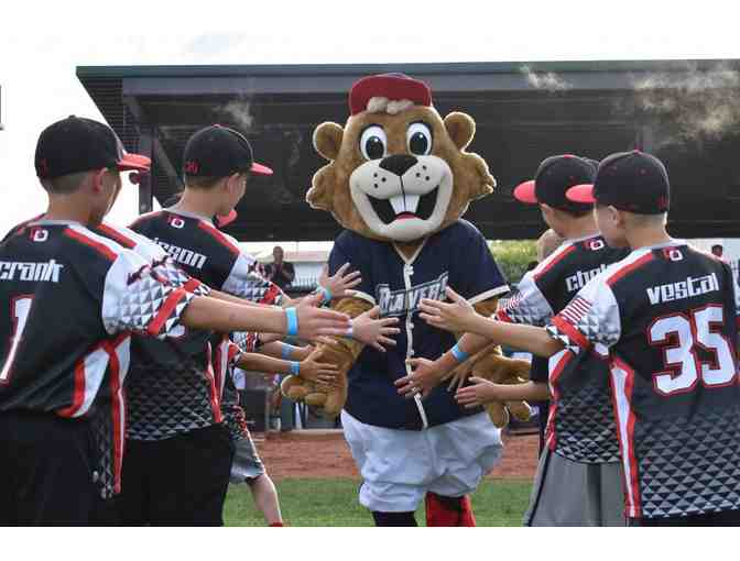 4 Tickets to a United Shore Professional Baseball League Game