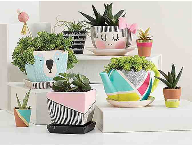 $25 Oriental Trading Gift Certficate