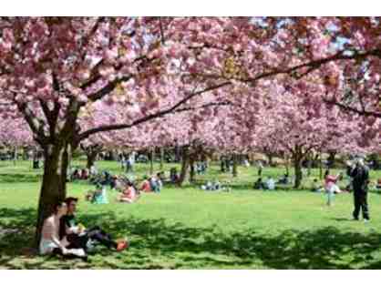 Family Pass for Four (4) to Brooklyn Botanic Garden