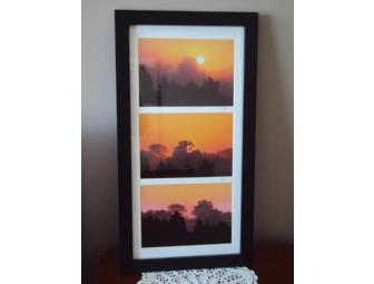 Sunrise Photographs