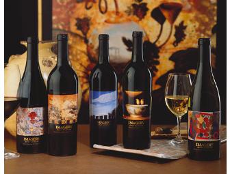 Sonoma VIP Wine Experience