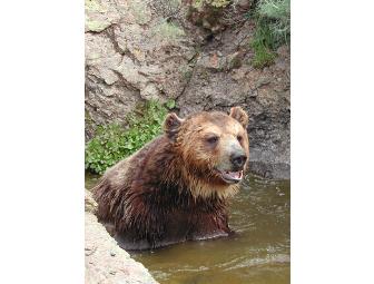 Lions, Tigers and Bears! Oh, my!  Private encounter with exotic animal actors!