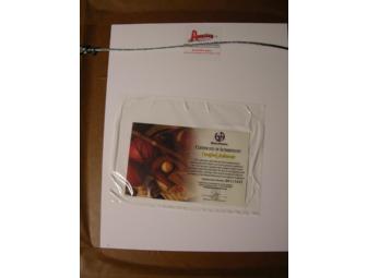 Faye Dunaway Signed Framed Display