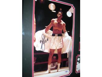 Will Smith Signed Photo