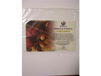 Angelina Jolie Signed & Framed Display