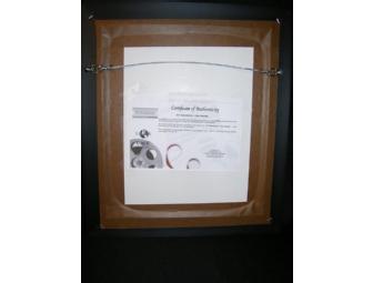 101 Dalmatians 8x10 Lisa Daniels Signed Display